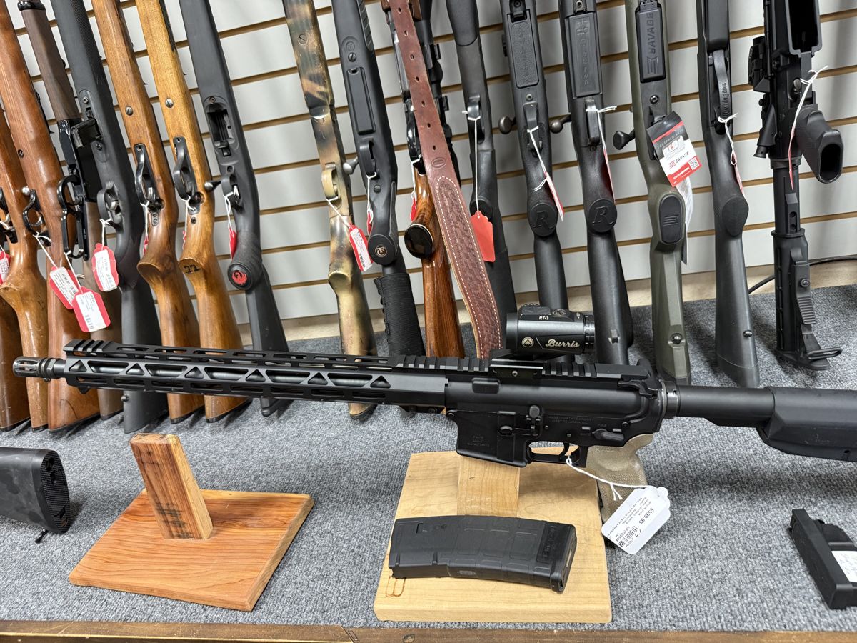 Palmetto State Armory AR-15 with Burris Optic